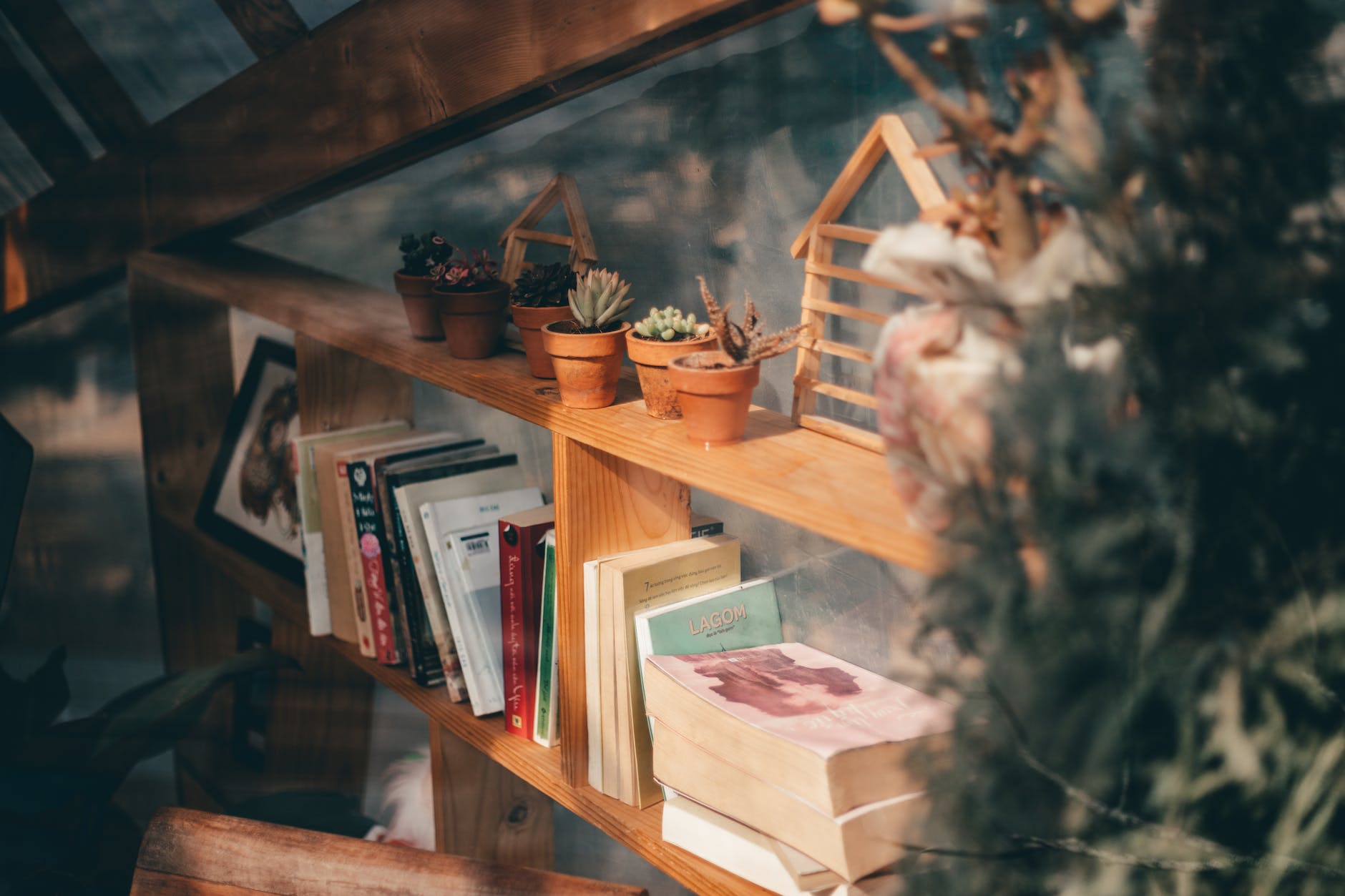 potted succulent plants on the bookshelf